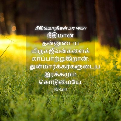 Picture 04 - நீதிமொழிகள் 12:10 TAMIRV - நீதிமான் தன்னுடைய - Bible Verse Picture