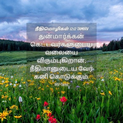 Picture 04 - நீதிமொழிகள் 12:12 TAMIRV - துன்மார்க்கன் - Bible Verse Picture