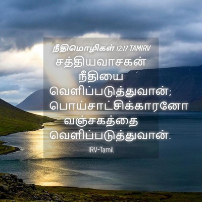 Picture 04 - நீதிமொழிகள் 12:17 TAMIRV - சத்தியவாசகன் - Bible Verse Picture