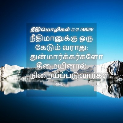 Picture 04 - நீதிமொழிகள் 12:21 TAMIRV - நீதிமானுக்கு ஒரு - Bible Verse Picture