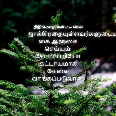Picture 04 - நீதிமொழிகள் 12:24 TAMIRV -  - Bible Verse Picture