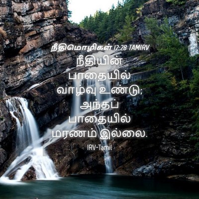 Picture 04 - நீதிமொழிகள் 12:28 TAMIRV - நீதியின் பாதையில் - Bible Verse Picture