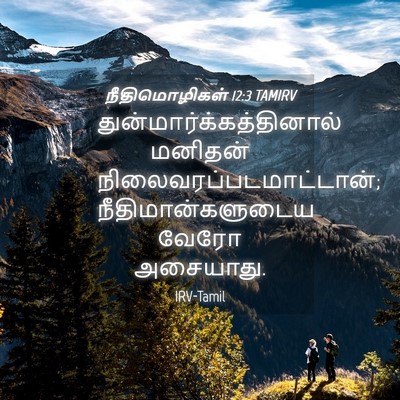 Picture 04 - நீதிமொழிகள் 12:3 TAMIRV -  - Bible Verse Picture
