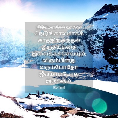 Picture 04 - நீதிமொழிகள் 13:12 TAMIRV - நெடுங்காலமாகக் - Bible Verse Picture