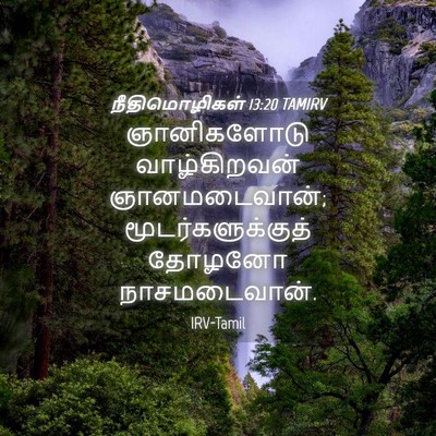Picture 04 - நீதிமொழிகள் 13:20 TAMIRV - ஞானிகளோடு - Bible Verse Picture