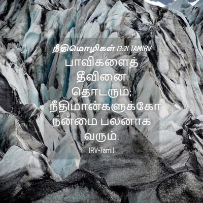 Picture 04 - நீதிமொழிகள் 13:21 TAMIRV - பாவிகளைத் தீவினை - Bible Verse Picture