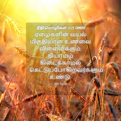Picture 04 - நீதிமொழிகள் 13:23 TAMIRV - ஏழைகளின் வயல் - Bible Verse Picture
