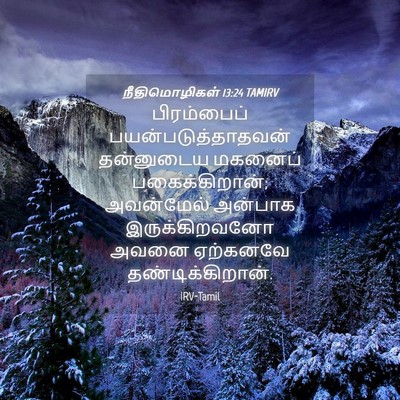 Picture 04 - நீதிமொழிகள் 13:24 TAMIRV - பிரம்பைப் - Bible Verse Picture