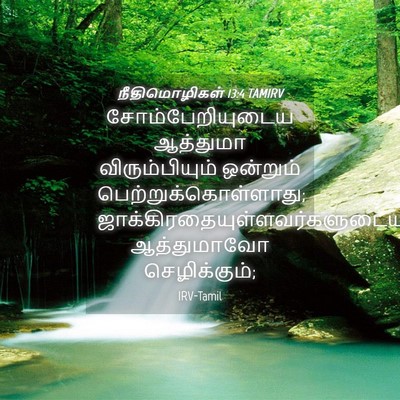 Picture 04 - நீதிமொழிகள் 13:4 TAMIRV - சோம்பேறியுடைய - Bible Verse Picture