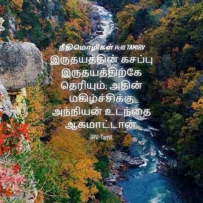 Picture 04 - நீதிமொழிகள் 14:10 TAMIRV - இருதயத்தின் - Bible Verse Picture