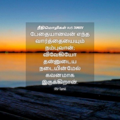 Picture 04 - நீதிமொழிகள் 14:15 TAMIRV - பேதையானவன் எந்த - Bible Verse Picture