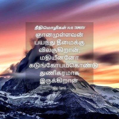 Picture 04 - நீதிமொழிகள் 14:16 TAMIRV - ஞானமுள்ளவன் - Bible Verse Picture