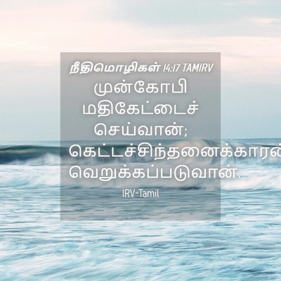 Picture 04 - நீதிமொழிகள் 14:17 TAMIRV - முன்கோபி - Bible Verse Picture