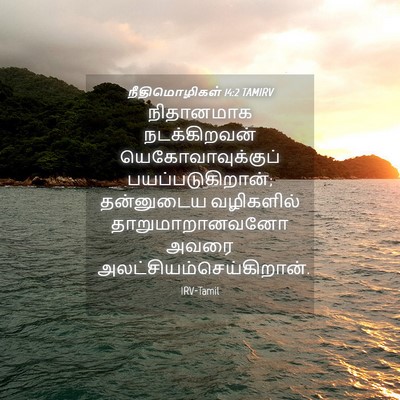 Picture 04 - நீதிமொழிகள் 14:2 TAMIRV - நிதானமாக - Bible Verse Picture