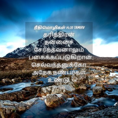 Picture 04 - நீதிமொழிகள் 14:20 TAMIRV - தரித்திரன் - Bible Verse Picture