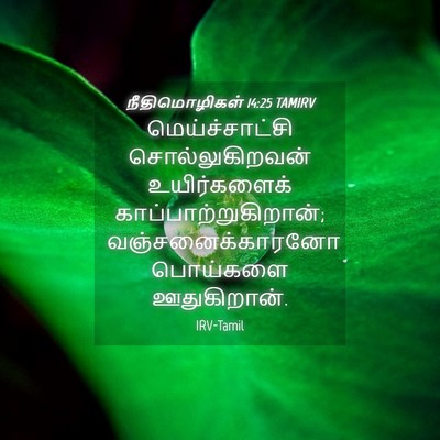 Picture 04 - நீதிமொழிகள் 14:25 TAMIRV - மெய்ச்சாட்சி - Bible Verse Picture