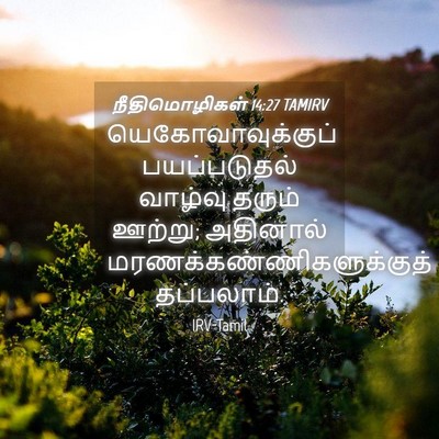 Picture 04 - நீதிமொழிகள் 14:27 TAMIRV - யெகோவாவுக்குப் - Bible Verse Picture