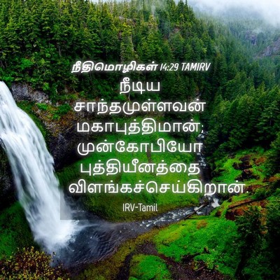 Picture 04 - நீதிமொழிகள் 14:29 TAMIRV - நீடிய - Bible Verse Picture