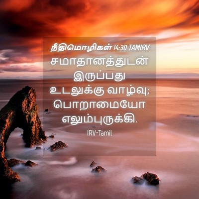 Picture 04 - நீதிமொழிகள் 14:30 TAMIRV - சமாதானத்துடன் - Bible Verse Picture