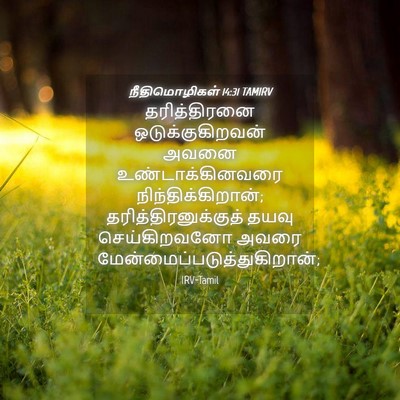 Picture 04 - நீதிமொழிகள் 14:31 TAMIRV - தரித்திரனை - Bible Verse Picture