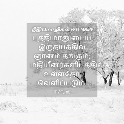 Picture 04 - நீதிமொழிகள் 14:33 TAMIRV - புத்திமானுடைய - Bible Verse Picture