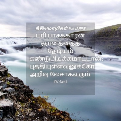 Picture 04 - நீதிமொழிகள் 14:6 TAMIRV - பரியாசக்காரன் - Bible Verse Picture