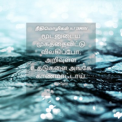 Picture 04 - நீதிமொழிகள் 14:7 TAMIRV - மூடனுடைய - Bible Verse Picture