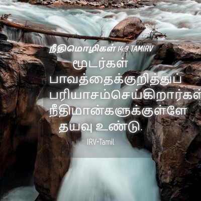 Picture 04 - நீதிமொழிகள் 14:9 TAMIRV - மூடர்கள் - Bible Verse Picture