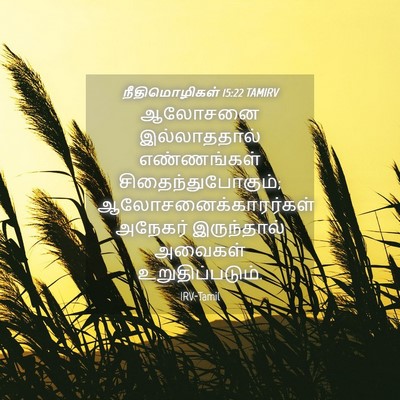 Picture 04 - நீதிமொழிகள் 15:22 TAMIRV - ஆலோசனை இல்லாததால் - Bible Verse Picture
