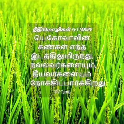 Picture 04 - நீதிமொழிகள் 15:3 TAMIRV - யெகோவாவின் கண்கள் - Bible Verse Picture