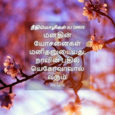 Picture 04 - நீதிமொழிகள் 16:1 TAMIRV - மனதின் யோசனைகள் - Bible Verse Picture
