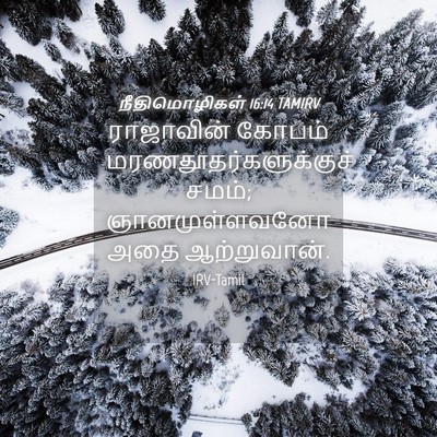 Picture 04 - நீதிமொழிகள் 16:14 TAMIRV - ராஜாவின் கோபம் - Bible Verse Picture