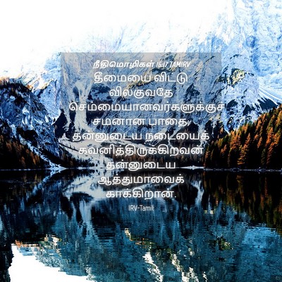 Picture 04 - நீதிமொழிகள் 16:17 TAMIRV - தீமையை விட்டு - Bible Verse Picture