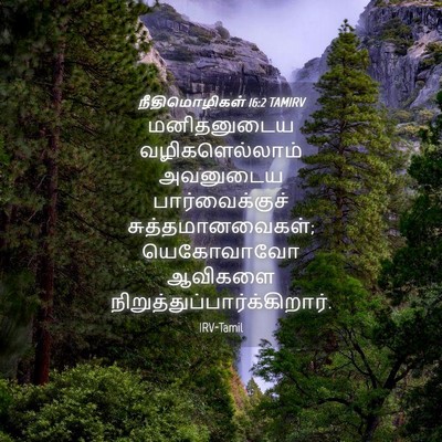 Picture 04 - நீதிமொழிகள் 16:2 TAMIRV - மனிதனுடைய - Bible Verse Picture