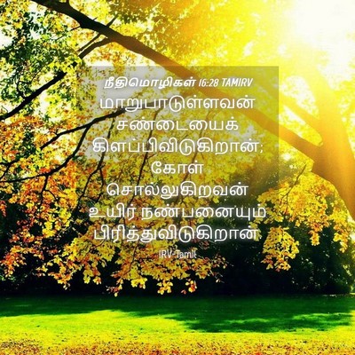 Picture 04 - நீதிமொழிகள் 16:28 TAMIRV - மாறுபாடுள்ளவன் - Bible Verse Picture