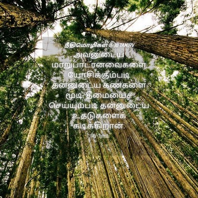 Picture 04 - நீதிமொழிகள் 16:30 TAMIRV - அவனுடைய - Bible Verse Picture