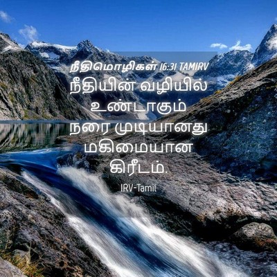 Picture 04 - நீதிமொழிகள் 16:31 TAMIRV - நீதியின் வழியில் - Bible Verse Picture