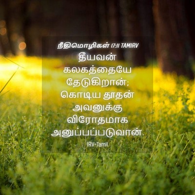 Picture 04 - நீதிமொழிகள் 17:11 TAMIRV - தீயவன் கலகத்தையே - Bible Verse Picture