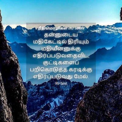 Picture 04 - நீதிமொழிகள் 17:12 TAMIRV - தன்னுடைய - Bible Verse Picture