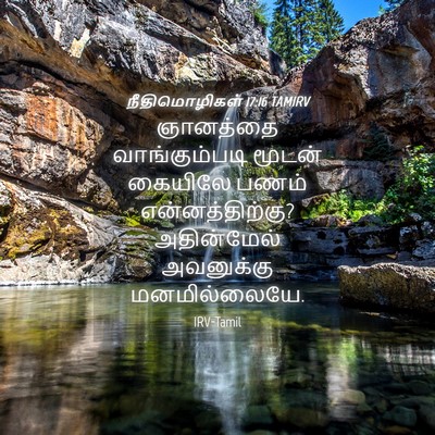 Picture 04 - நீதிமொழிகள் 17:16 TAMIRV - ஞானத்தை - Bible Verse Picture
