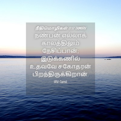 Picture 04 - நீதிமொழிகள் 17:17 TAMIRV - நண்பன் எல்லாக் - Bible Verse Picture
