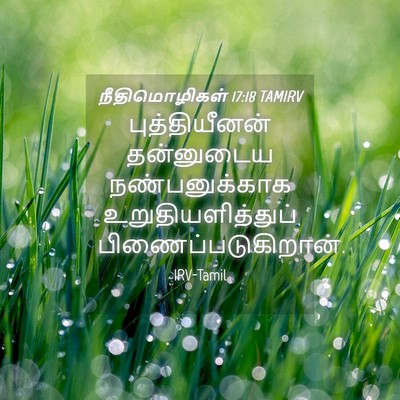 Picture 04 - நீதிமொழிகள் 17:18 TAMIRV - புத்தியீனன் - Bible Verse Picture