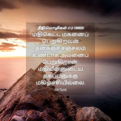 Picture 04 - நீதிமொழிகள் 17:21 TAMIRV - மதிகெட்ட மகனைப் - Bible Verse Picture