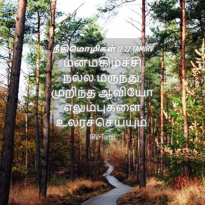 Picture 04 - நீதிமொழிகள் 17:22 TAMIRV - மனமகிழ்ச்சி நல்ல - Bible Verse Picture