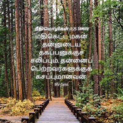 Picture 04 - நீதிமொழிகள் 17:25 TAMIRV - மதிகெட்ட மகன் - Bible Verse Picture
