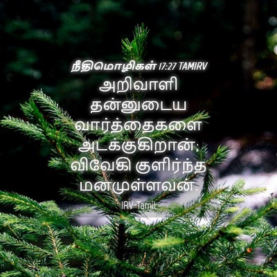 Picture 04 - நீதிமொழிகள் 17:27 TAMIRV - அறிவாளி தன்னுடைய - Bible Verse Picture