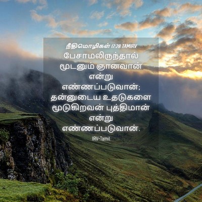 Picture 04 - நீதிமொழிகள் 17:28 TAMIRV - பேசாமலிருந்தால் - Bible Verse Picture