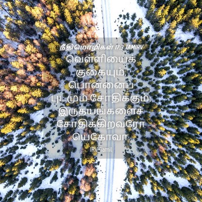 Picture 04 - நீதிமொழிகள் 17:3 TAMIRV - வெள்ளியைக் - Bible Verse Picture