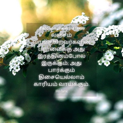 Picture 04 - நீதிமொழிகள் 17:8 TAMIRV - லஞ்சம் - Bible Verse Picture