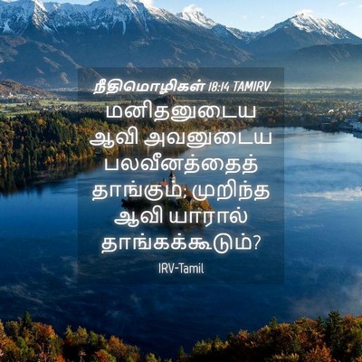 Picture 04 - நீதிமொழிகள் 18:14 TAMIRV - மனிதனுடைய ஆவி - Bible Verse Picture